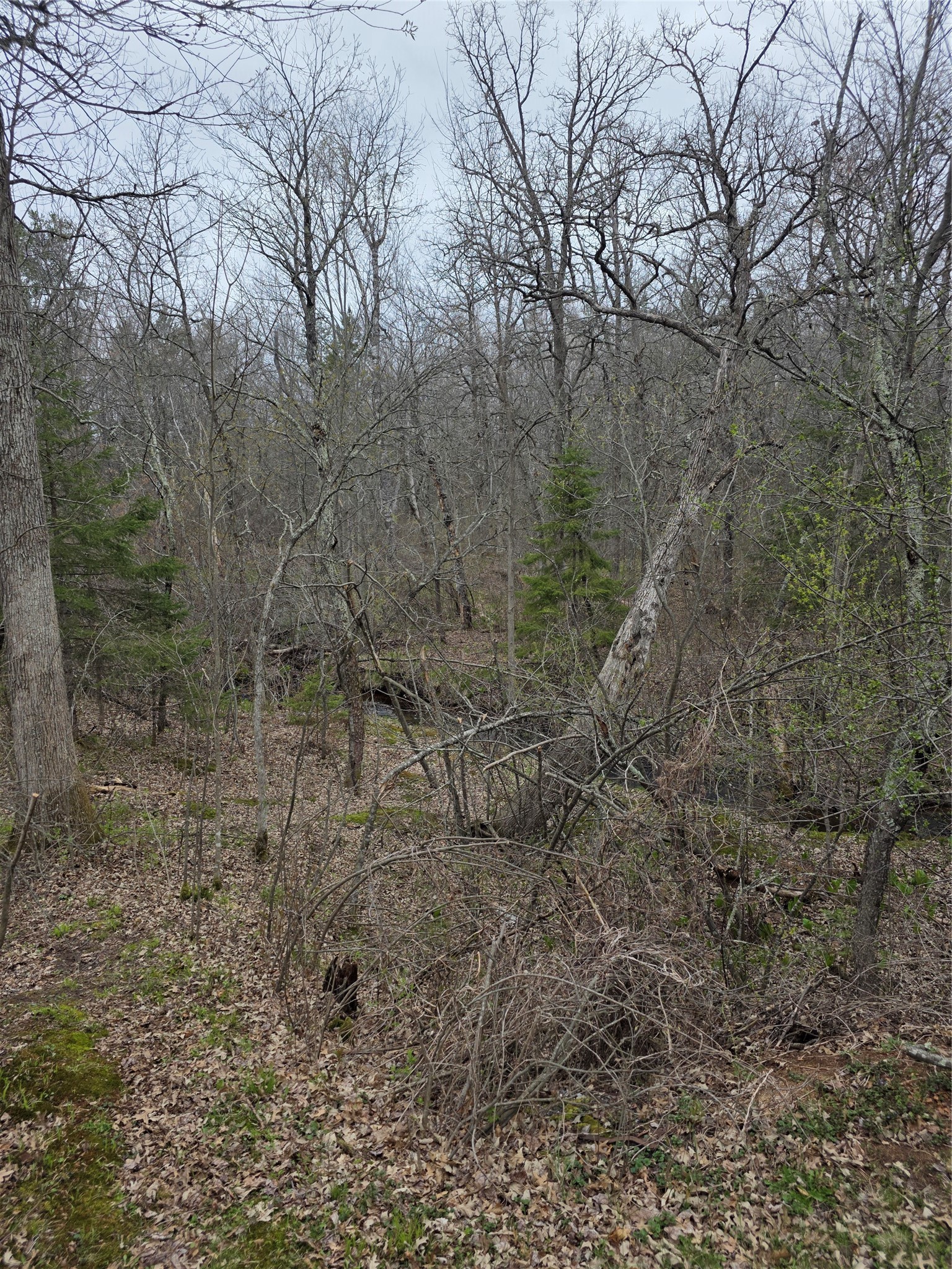 N8644 Lumbard Lane Springbrook, WI 54875 - Photo 30 of 39