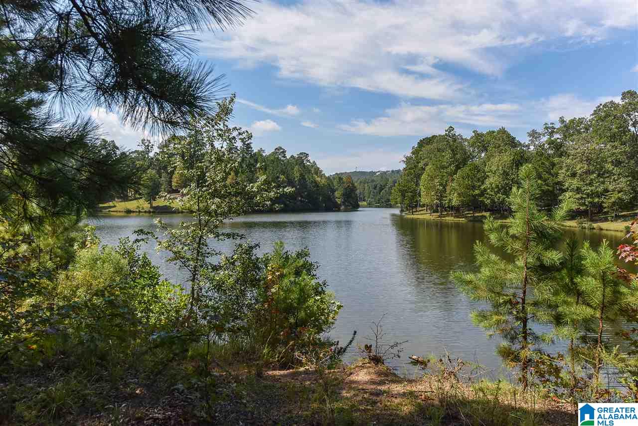379 North Lake Road Birmingham, AL 35242 - Photo 50 of 50