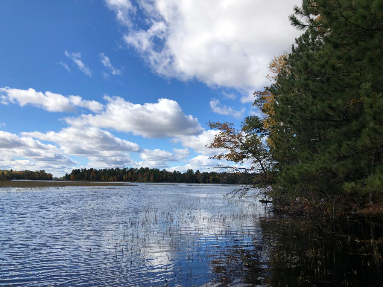 6502 Hallman Road Three Lakes, WI 54562 - Photo 26 of 41 Gallery Image 26