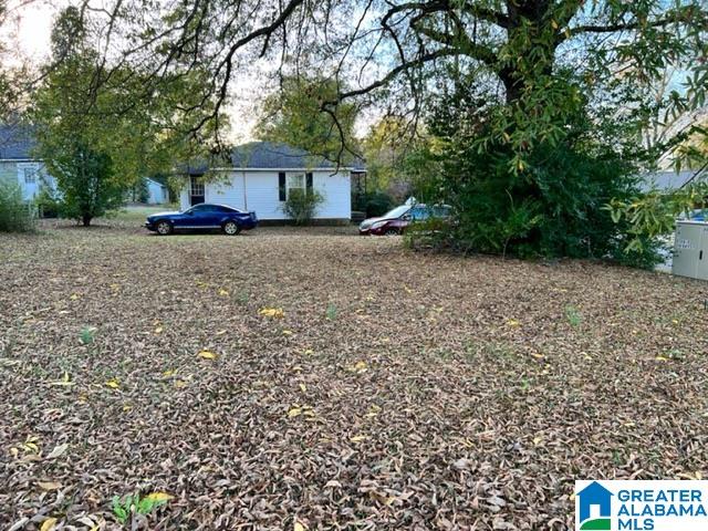 700 Central Avenue Talladega, AL 35160 - Photo 4 of 4