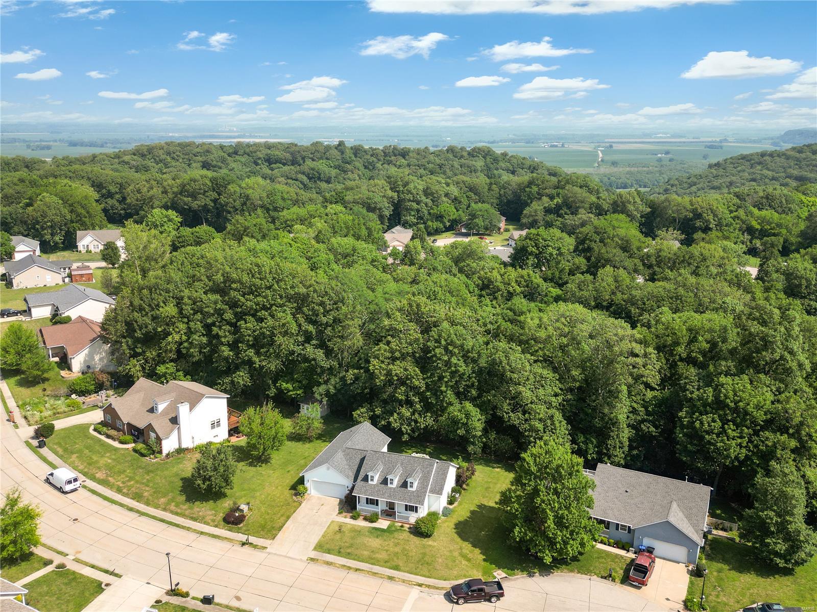 309 Falcon Pointe Valmeyer, IL 62295 - Photo 36 of 39
