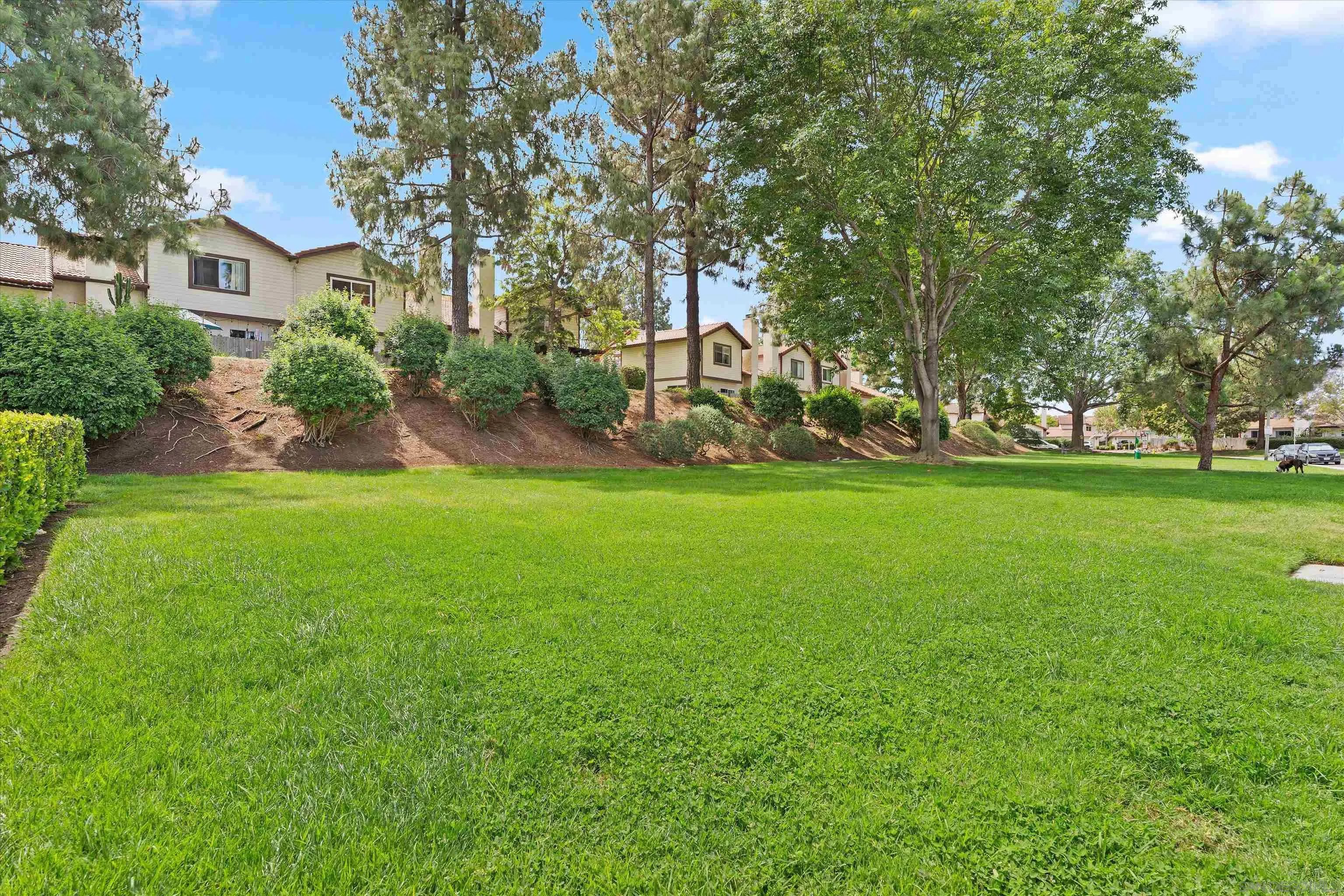 5636 Boot Way Oceanside, CA 92057 - Photo 29 of 36 a view of a house with a big yard and large trees