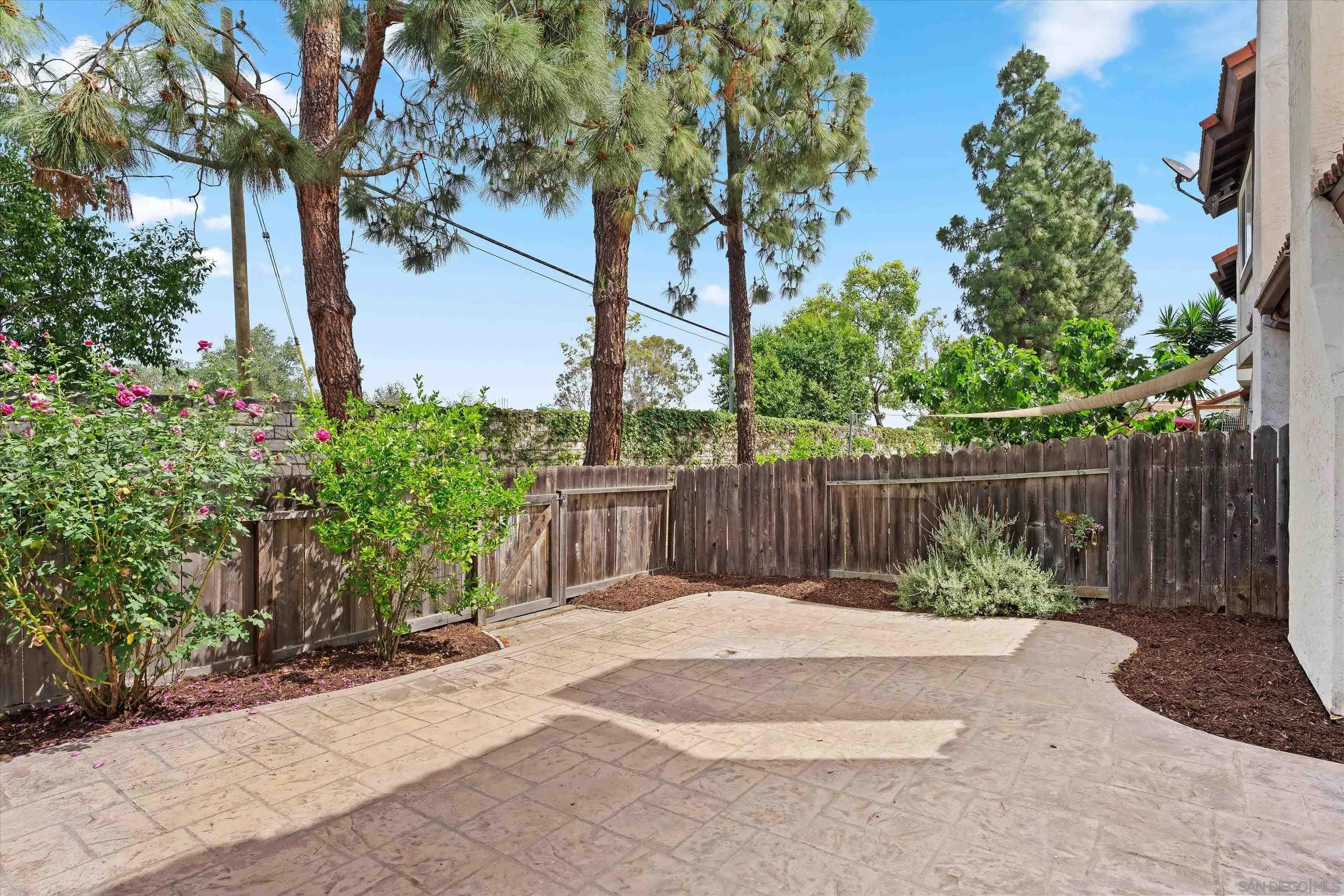 5636 Boot Way Oceanside, CA 92057 - Photo 6 of 36 a view of backyard with plants and tree