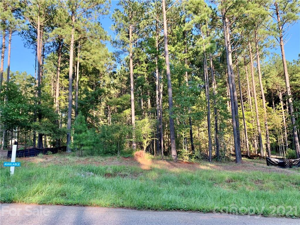 6288 Chimney Bluff Road, Unit 43 Lancaster, SC 29720 - Photo 1 of 15 Gallery Image 1