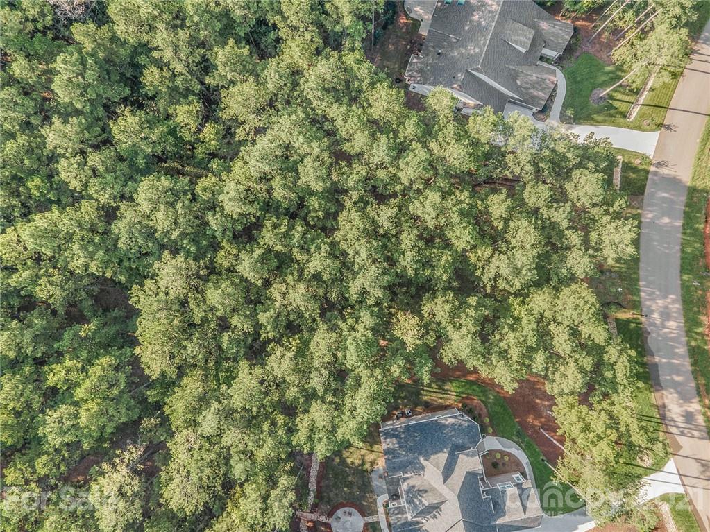 6288 Chimney Bluff Road, Unit 43 Lancaster, SC 29720 - Photo 4 of 15 Gallery Image 4