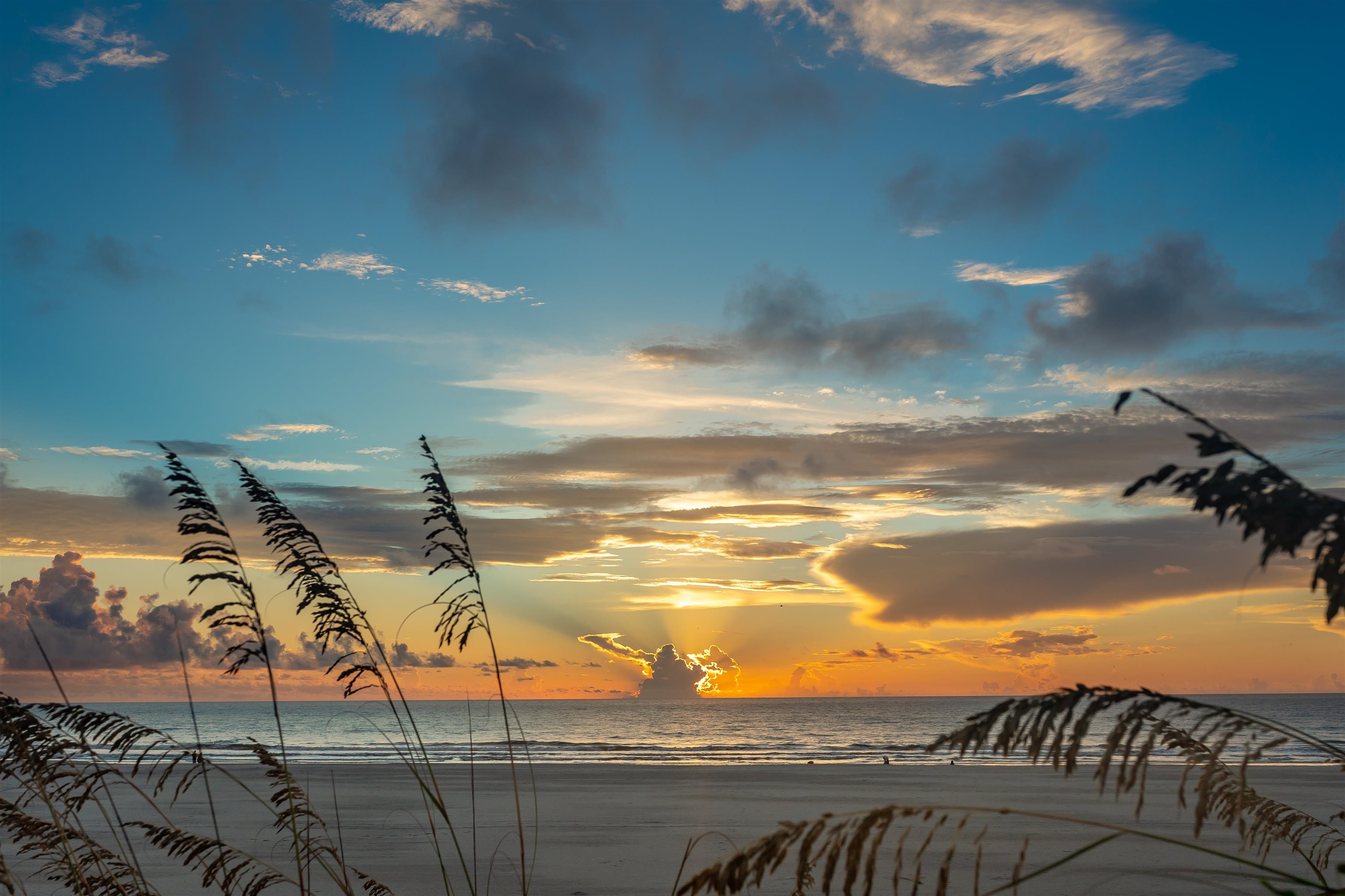 237 Rainey Avenue St. Augustine, FL 32084 - Photo 24 of 26 a view of a terrace
