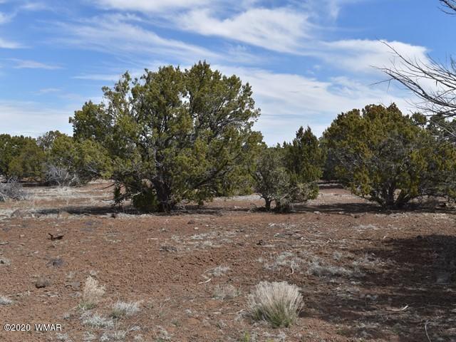 2042 Supancheck Road Show Low, AZ 85901 - Photo 14 of 19