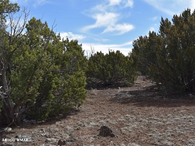 2042 Supancheck Road Show Low, AZ 85901 - Photo 16 of 19