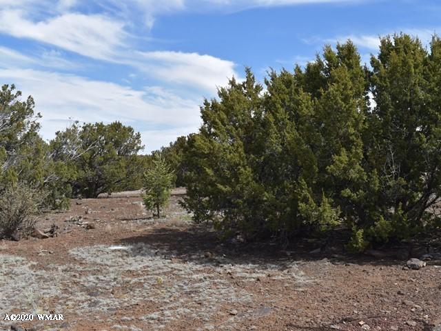 2042 Supancheck Road Show Low, AZ 85901 - Photo 17 of 19
