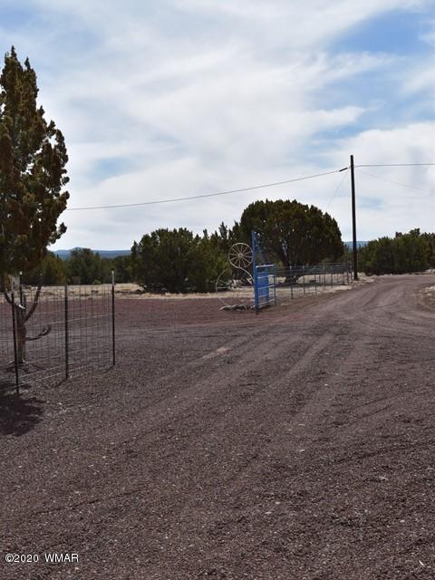 2042 Supancheck Road Show Low, AZ 85901 - Photo 18 of 19