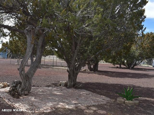 2042 Supancheck Road Show Low, AZ 85901 - Photo 19 of 19