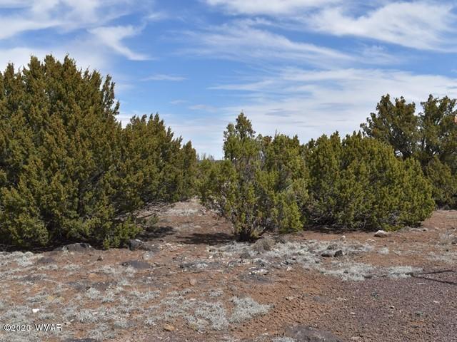 2042 Supancheck Road Show Low, AZ 85901 - Photo 2 of 19