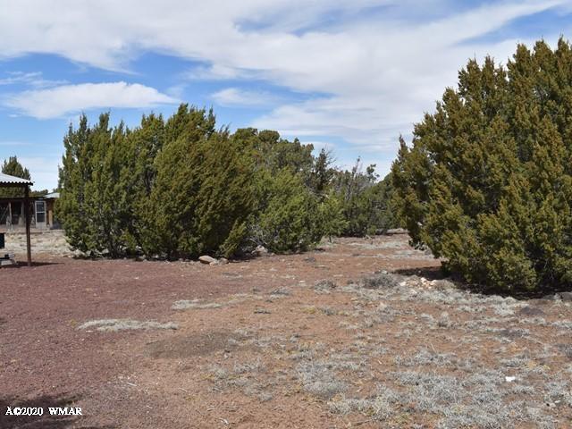 2042 Supancheck Road Show Low, AZ 85901 - Photo 3 of 19