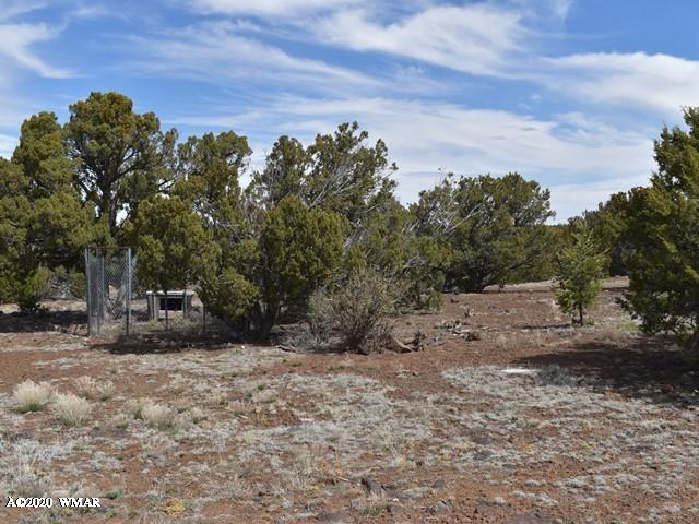 2042 Supancheck Road Show Low, AZ 85901 - Photo 4 of 19