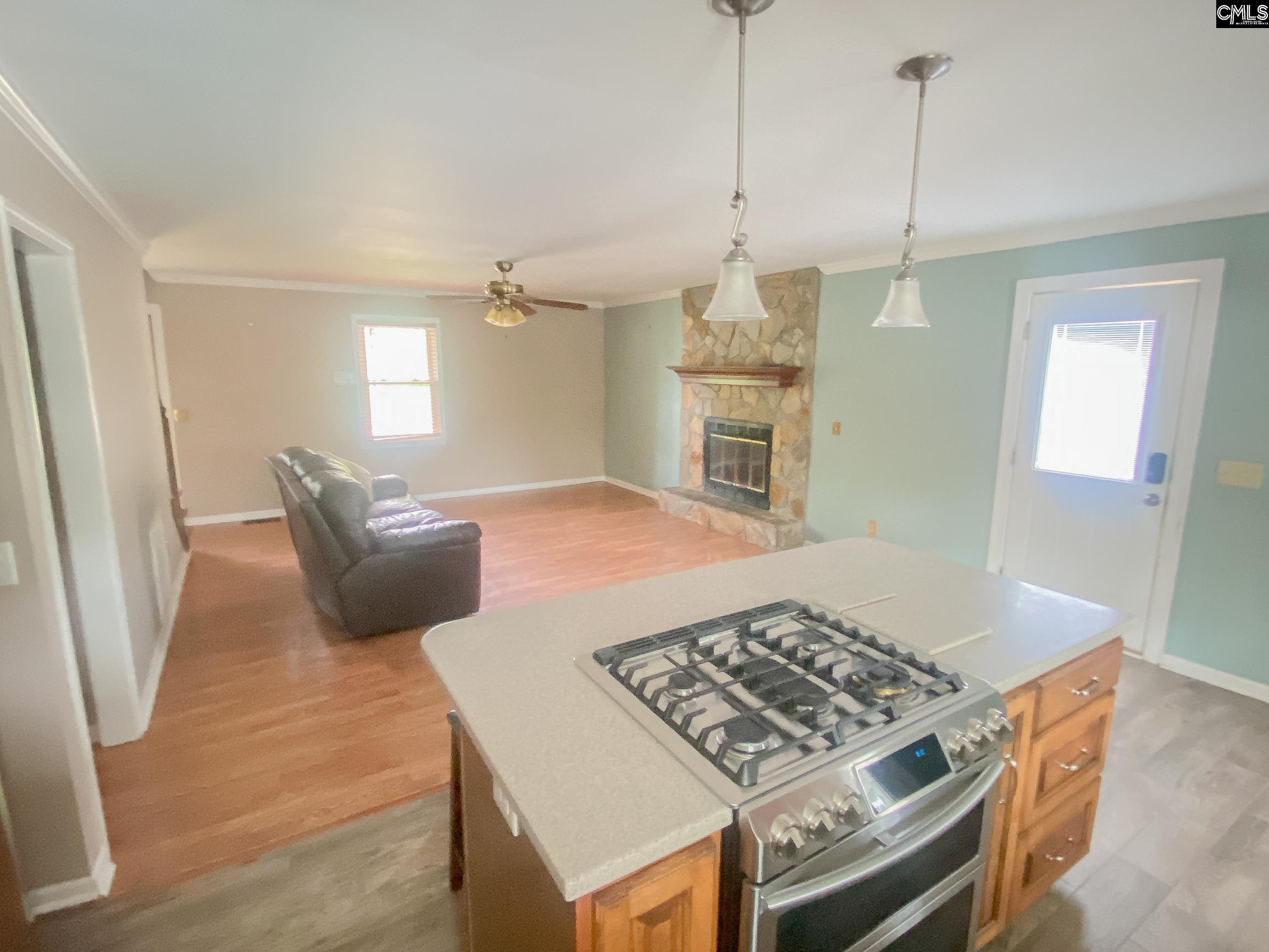 187 Condor Route Lexington, SC 29073 - Photo 7 of 21