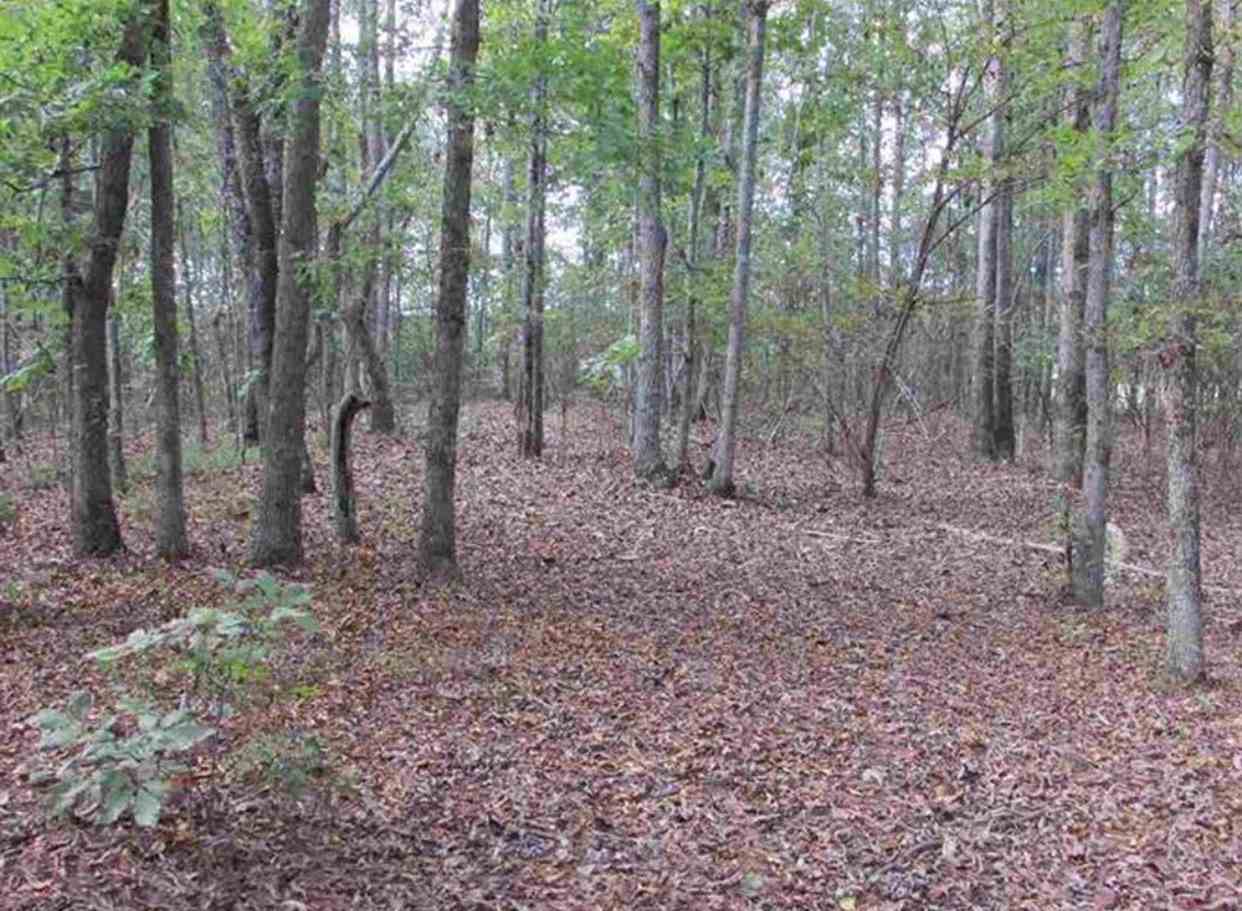 1051 Farley Road Waterloo, AL 35677 - Photo 13 of 24