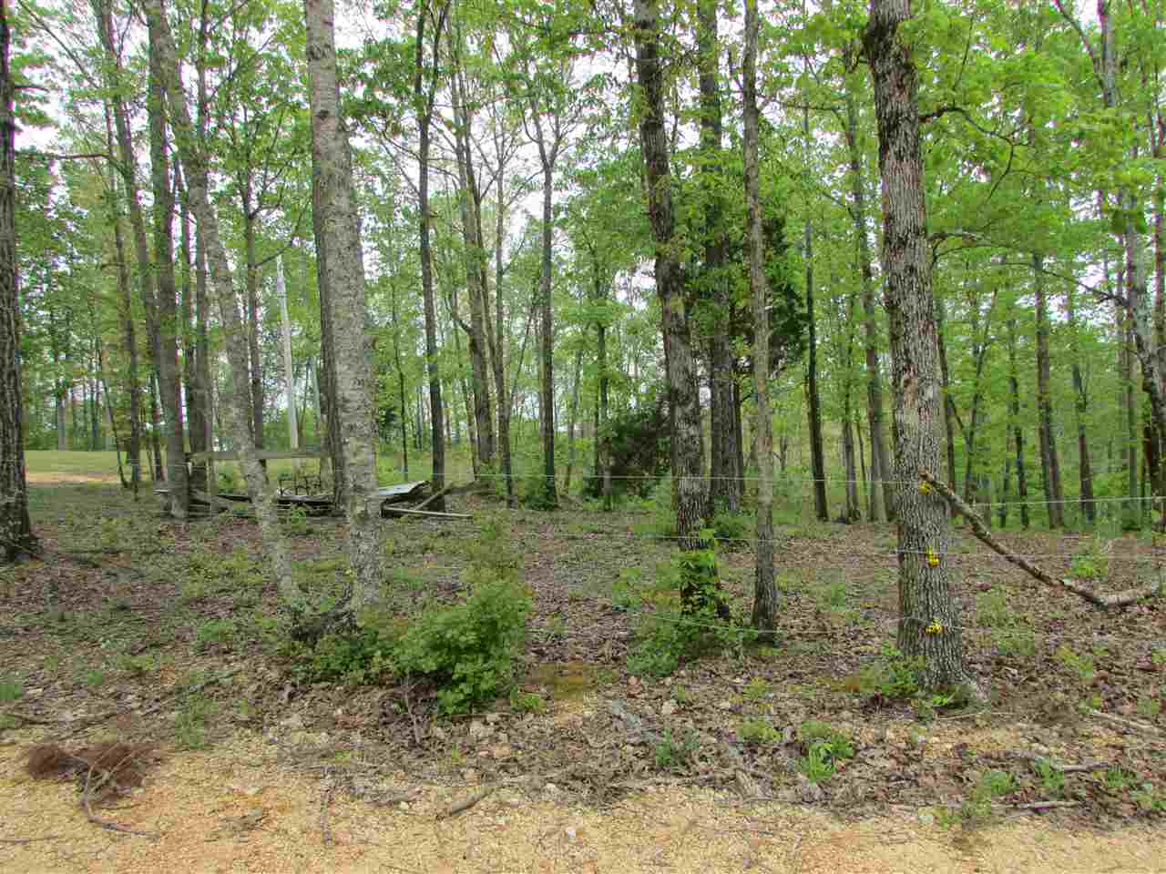 1051 Farley Road Waterloo, AL 35677 - Photo 24 of 24