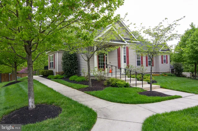 a view of pool with large trees and wooden fence