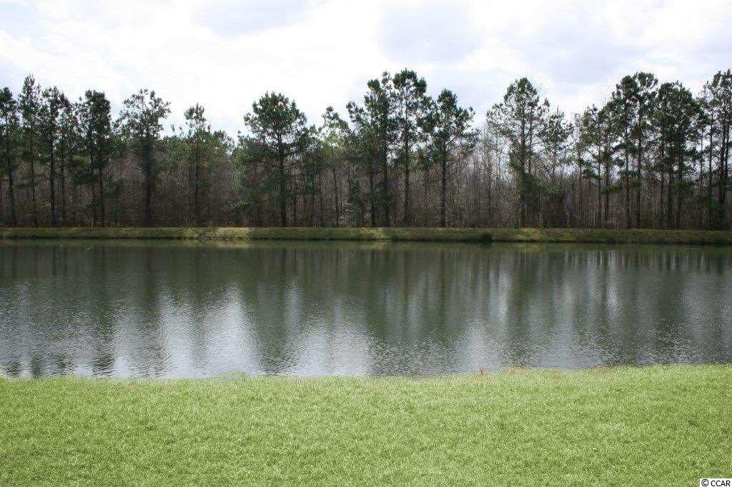 4033 Ridgewood Drive Conway, SC 29526 - Photo 28 of 35 Gallery Image 28