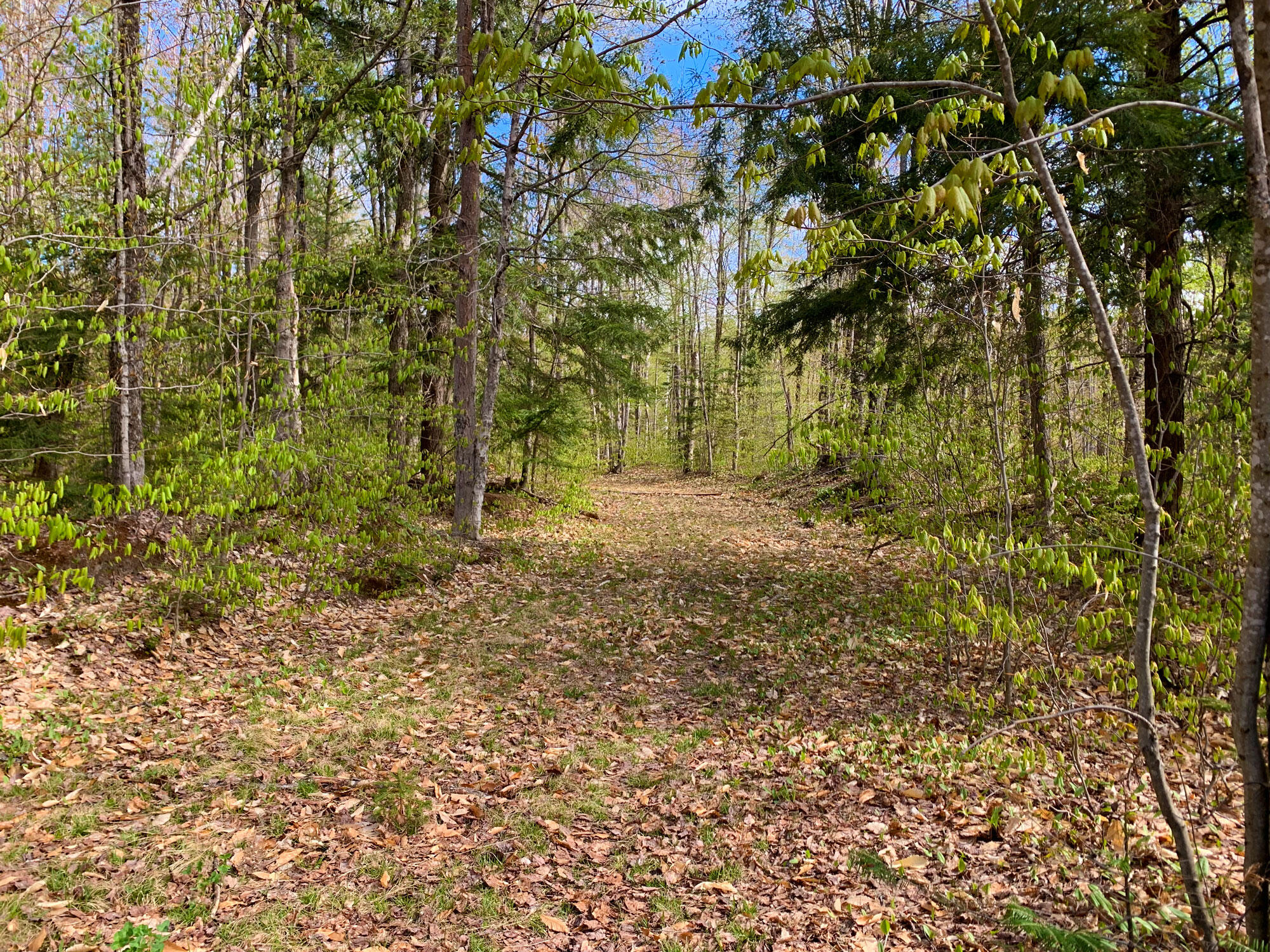 41265 West East-West Road Eckerman, MI 49728 - Photo 22 of 47 Gallery Image 22