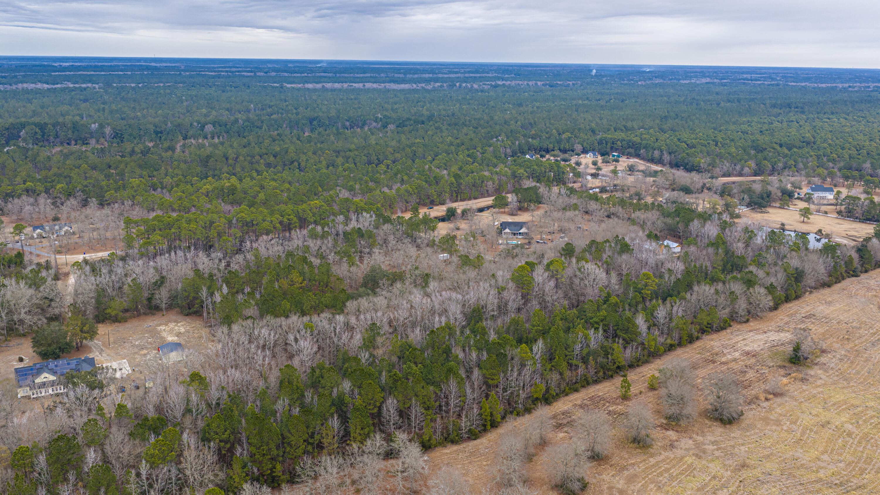 5553 Elliott Estates Road Hollywood, SC 29449 - Photo 13 of 33 5553ElliottEstatesRd051