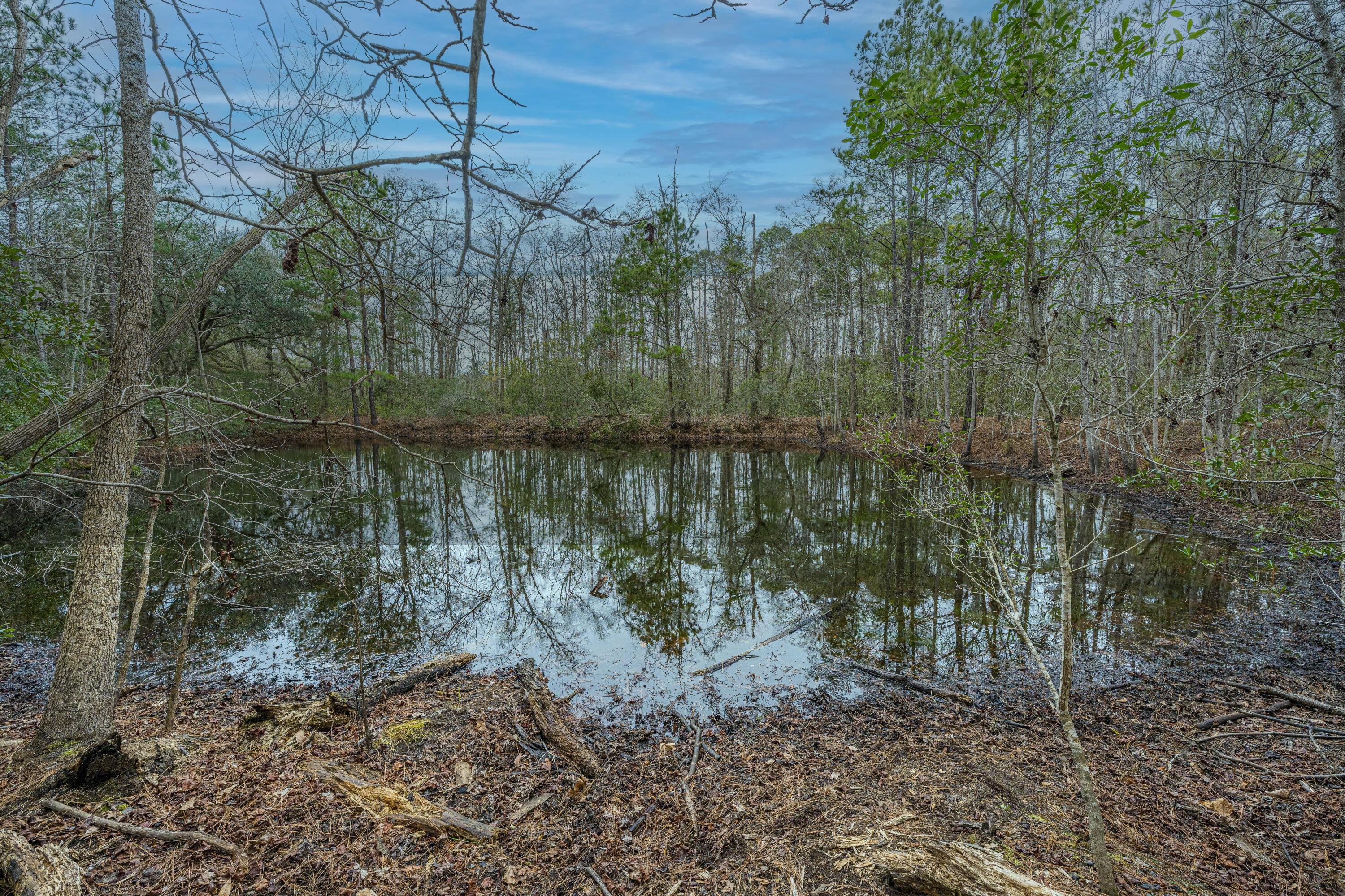 5553 Elliott Estates Road Hollywood, SC 29449 - Photo 17 of 33 5553ElliottEstatesRd017