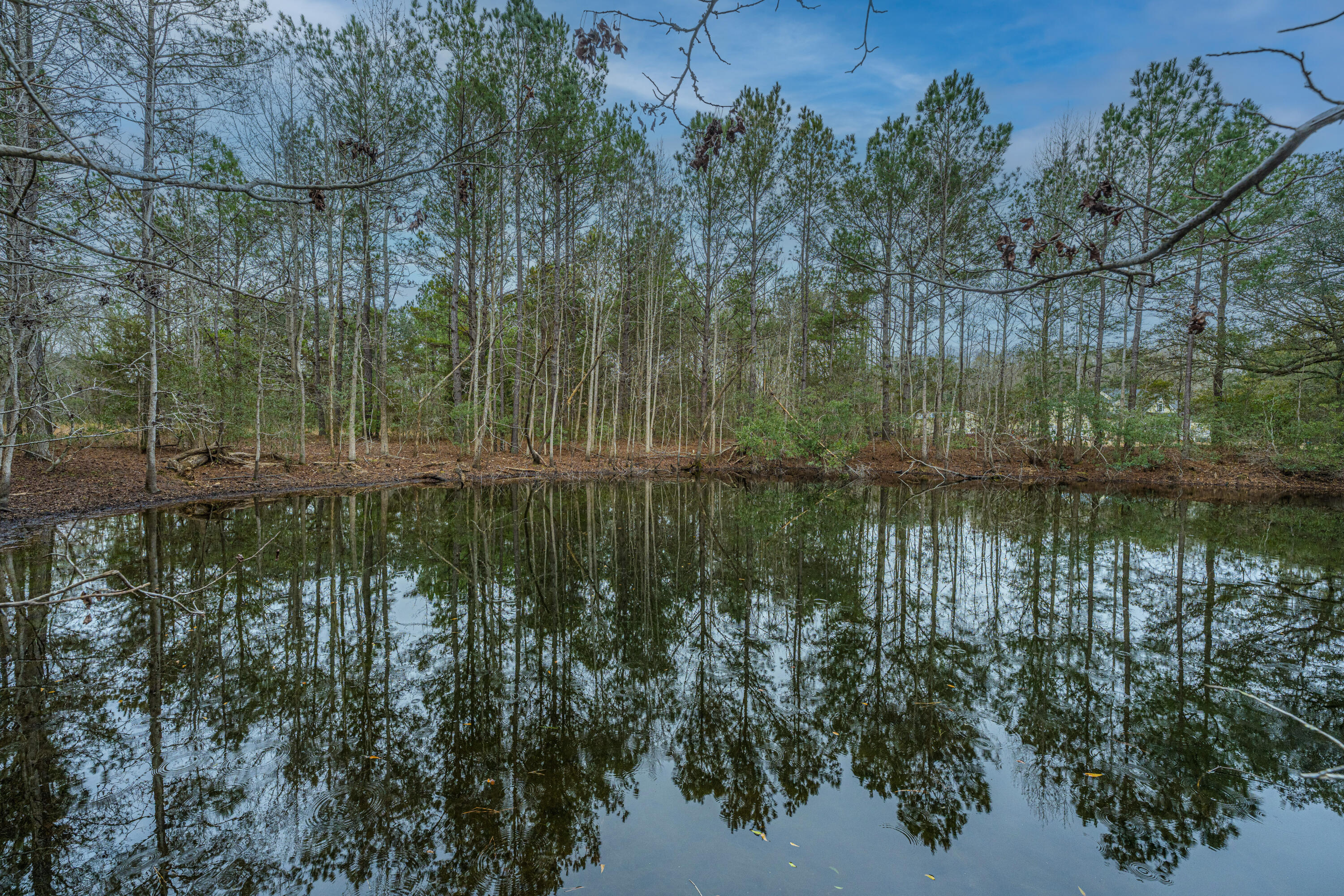 5553 Elliott Estates Road Hollywood, SC 29449 - Photo 18 of 33 5553ElliottEstatesRd009
