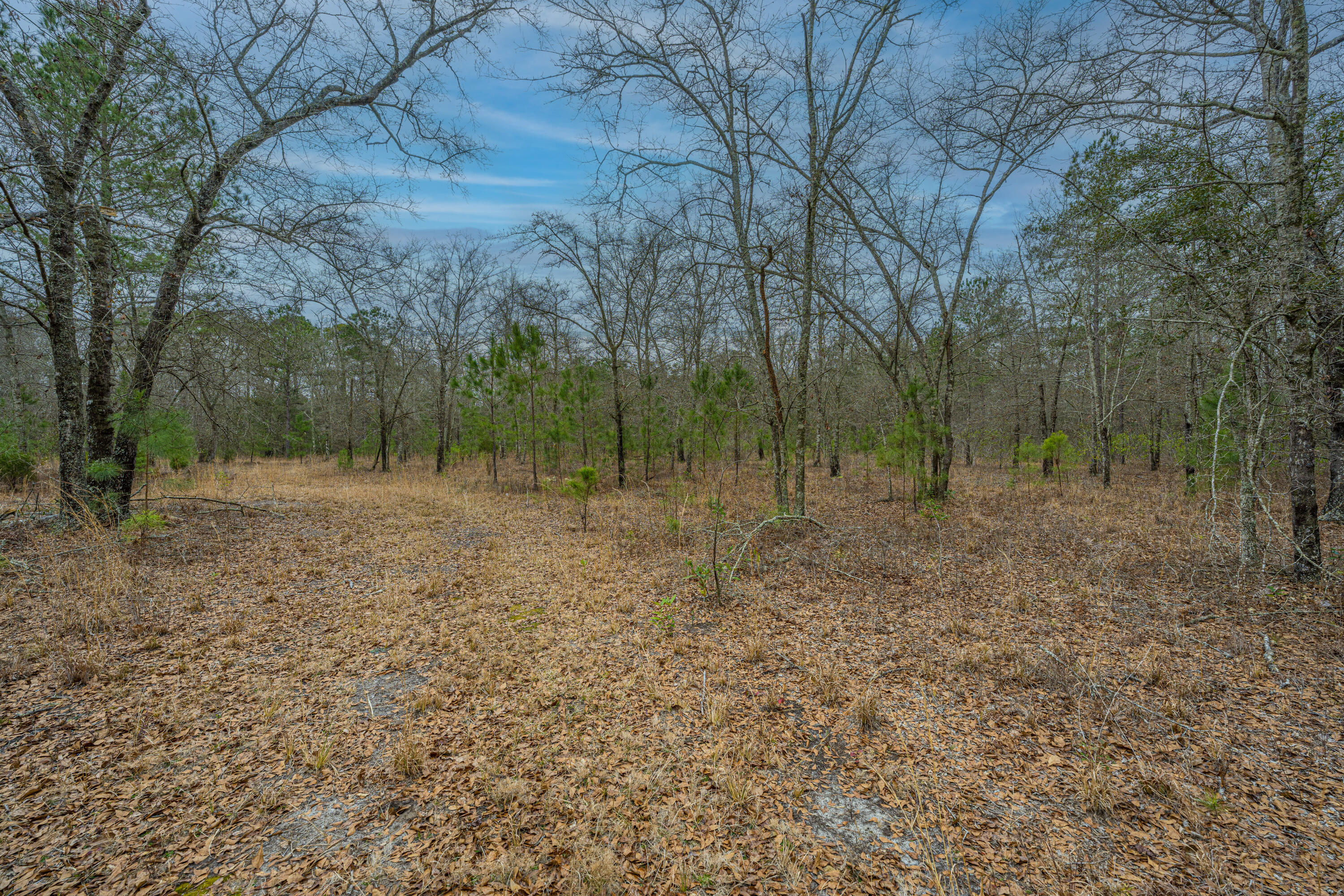 5553 Elliott Estates Road Hollywood, SC 29449 - Photo 24 of 33 5553ElliottEstatesRd010