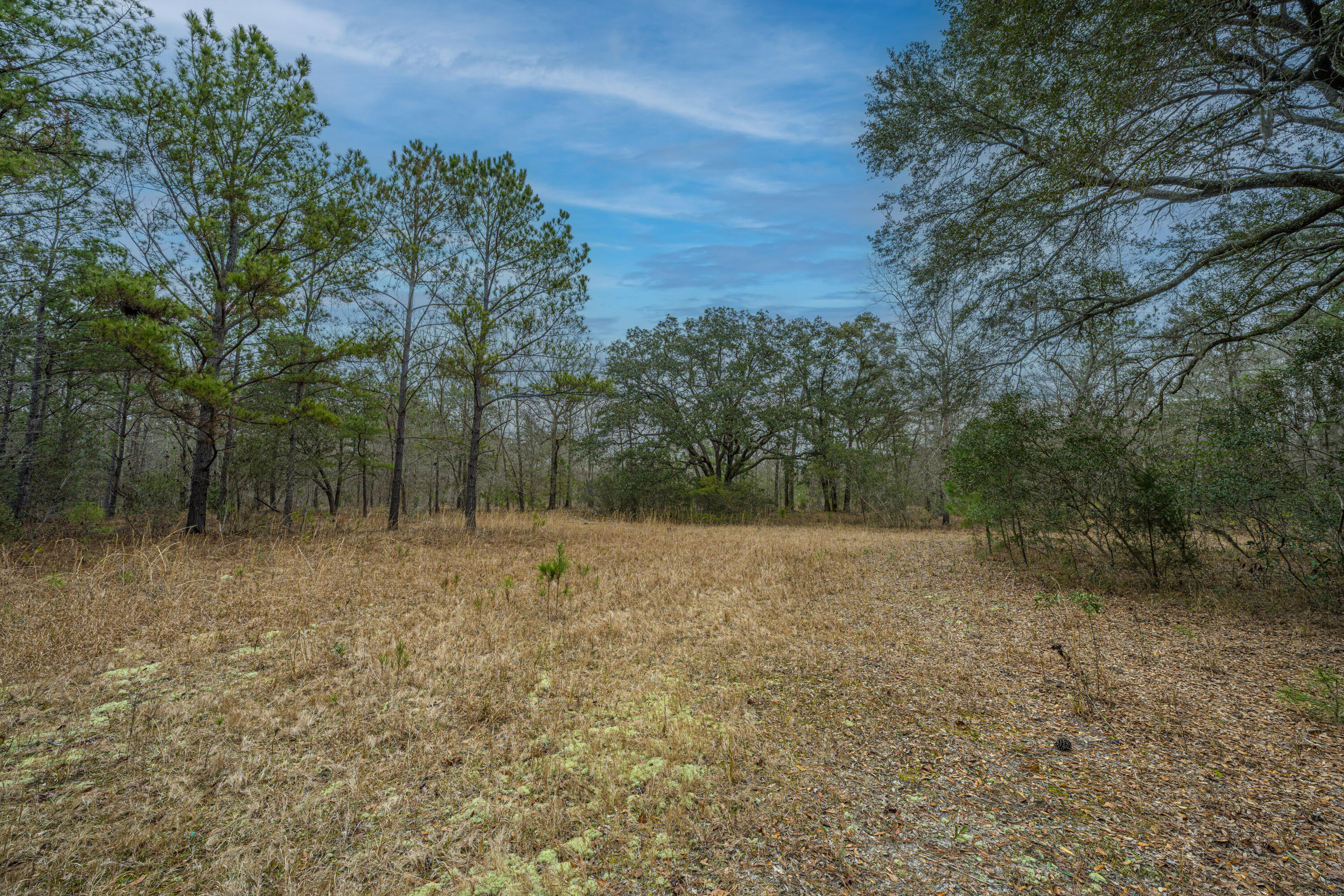 5553 Elliott Estates Road Hollywood, SC 29449 - Photo 26 of 33 5553ElliottEstatesRd016
