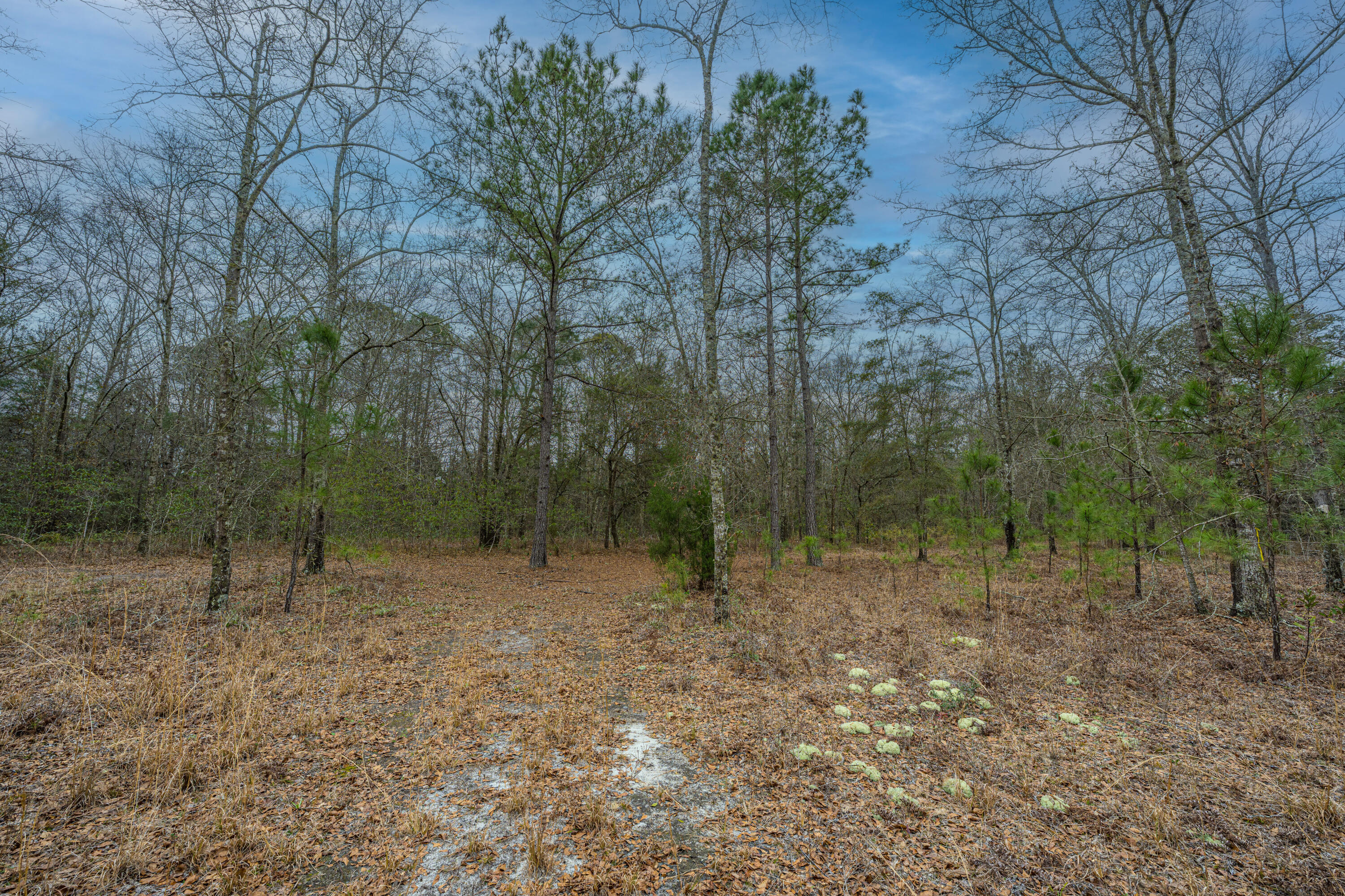 5553 Elliott Estates Road Hollywood, SC 29449 - Photo 27 of 33 5553ElliottEstatesRd011