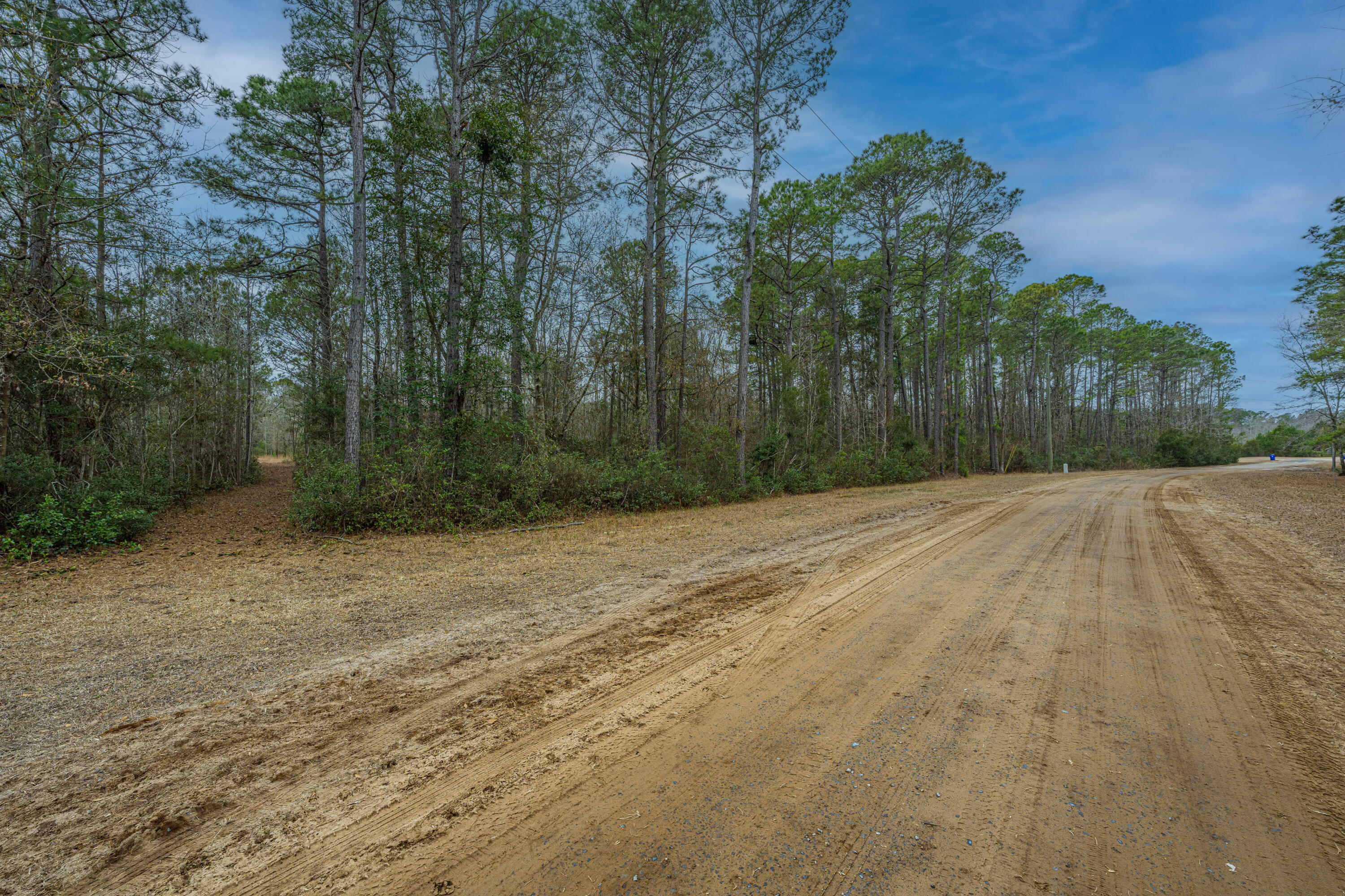 5553 Elliott Estates Road Hollywood, SC 29449 - Photo 30 of 33 5553ElliottEstatesRd002