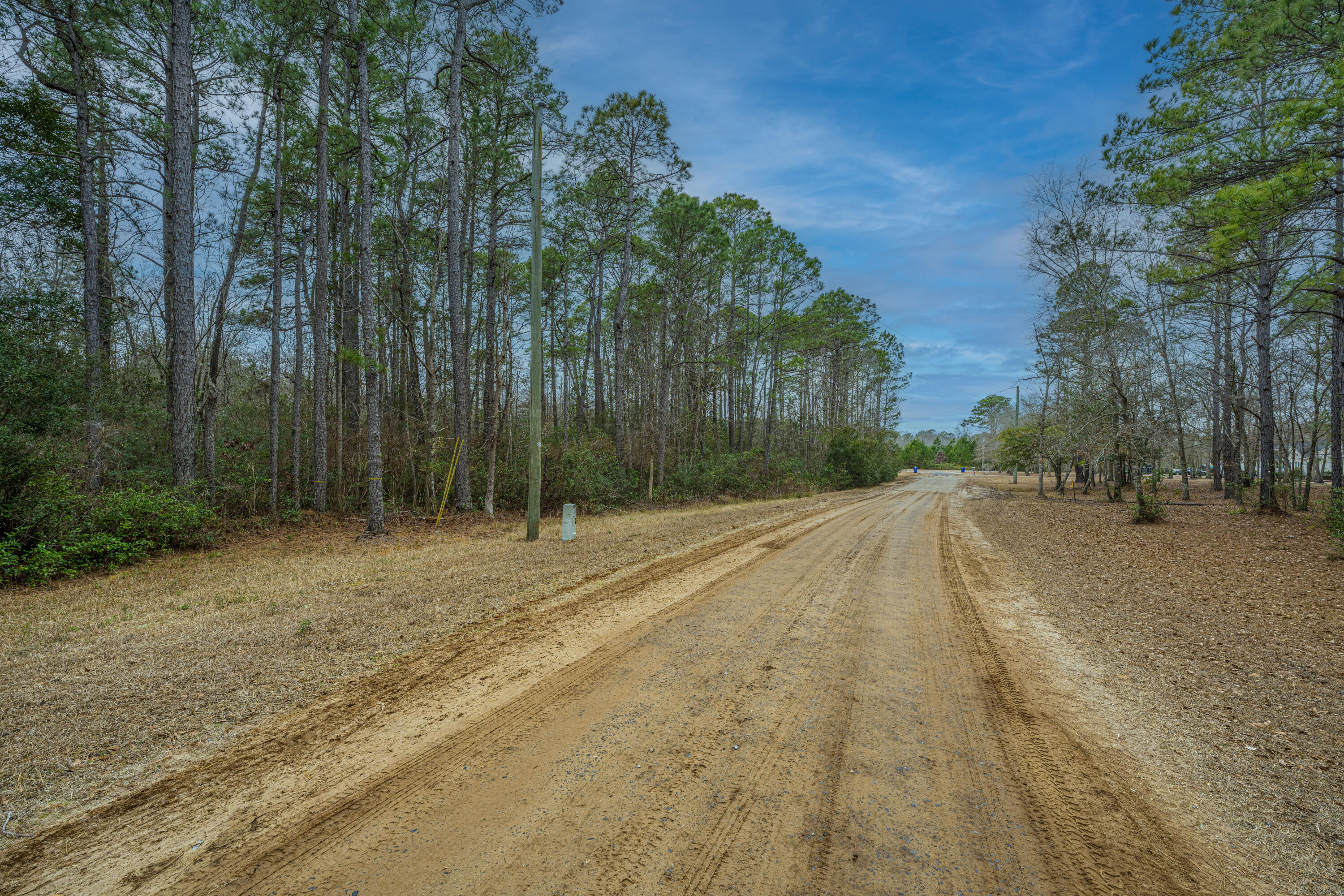 5553 Elliott Estates Road Hollywood, SC 29449 - Photo 31 of 33 5553ElliottEstatesRd003