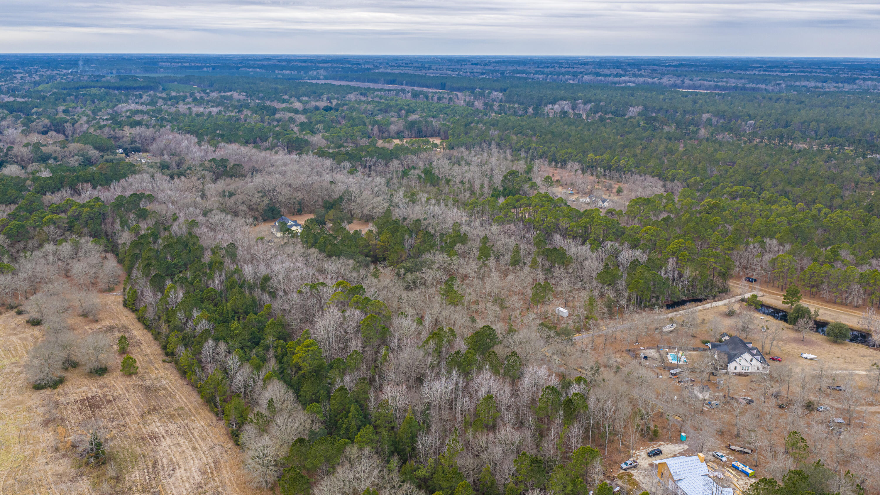 5553 Elliott Estates Road Hollywood, SC 29449 - Photo 8 of 33 5553ElliottEstatesRd038