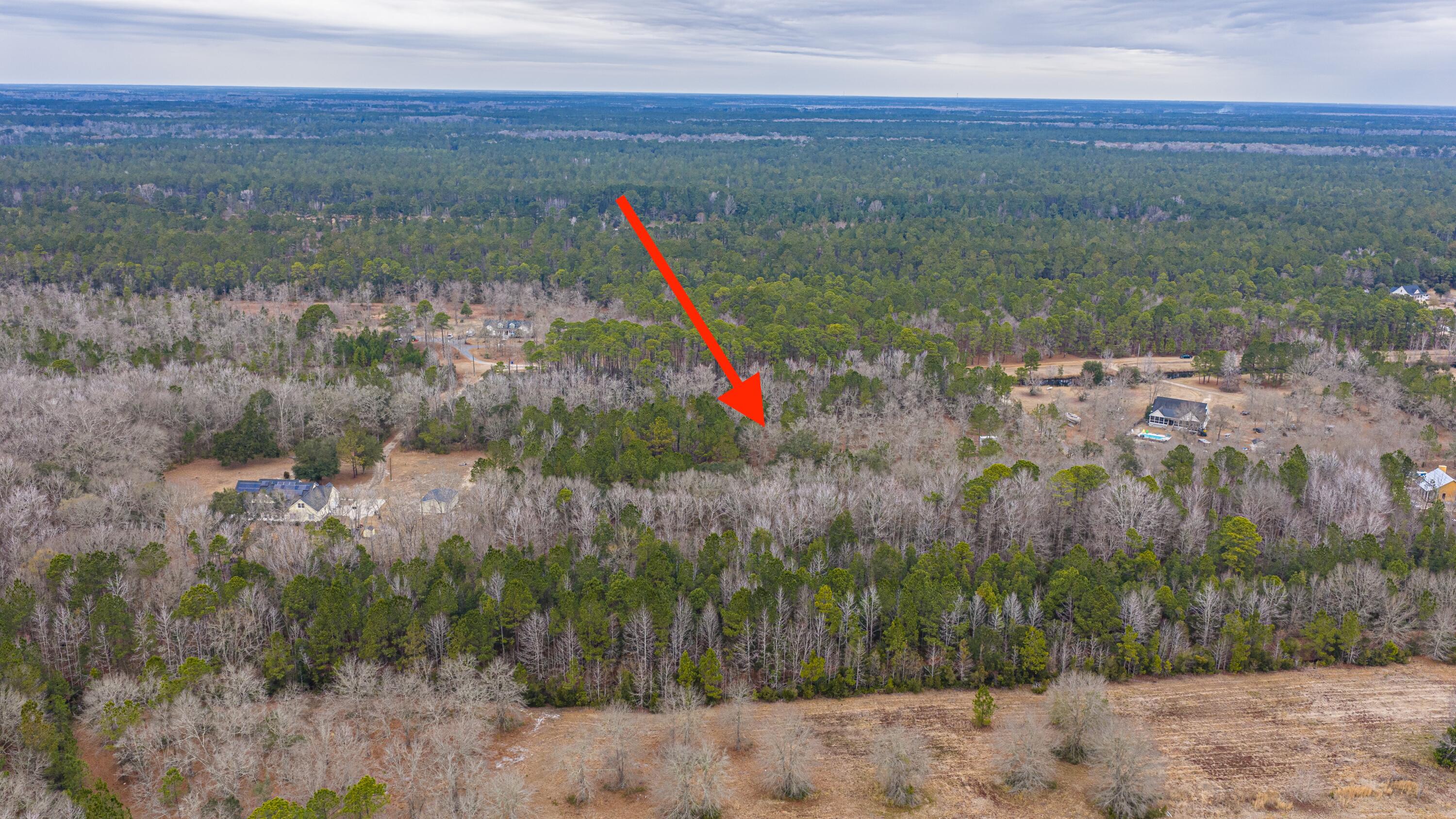 5553 Elliott Estates Road Hollywood, SC 29449 - Photo 9 of 33 5553ElliottEstatesRd048
