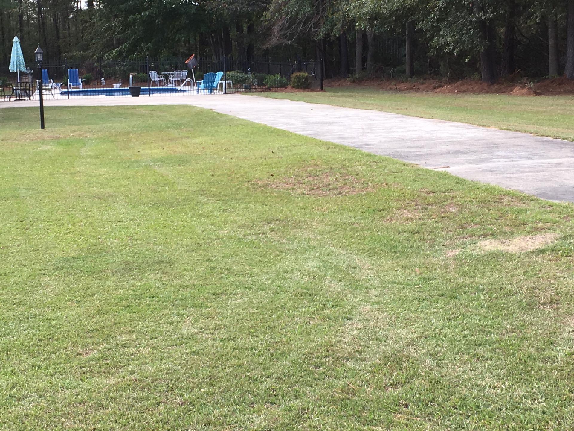 256 Zion Road Dorchester, SC 29437 - Photo 2 of 9 Backyard pook karen