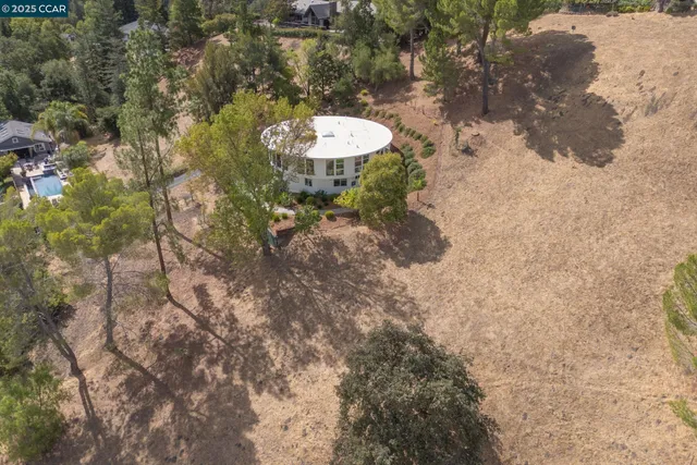 a view of a backyard with fountain plants and large tree