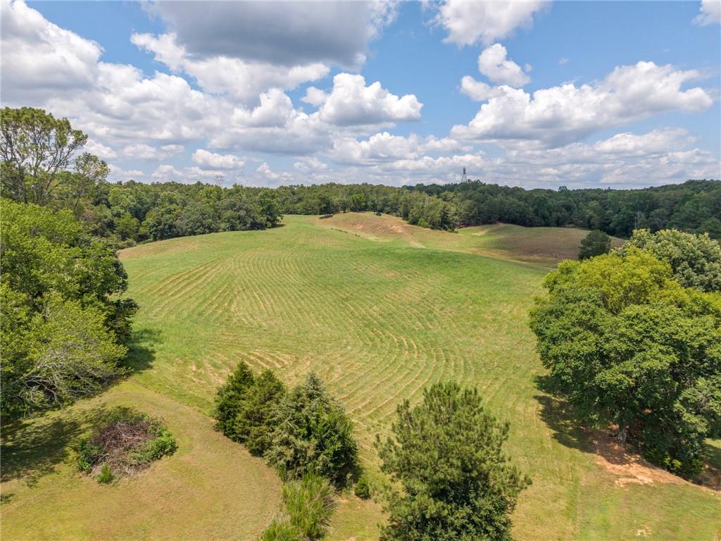 0 Mt Pleasant Road Northeast Fairmount, GA 30139 - Photo 12 of 35