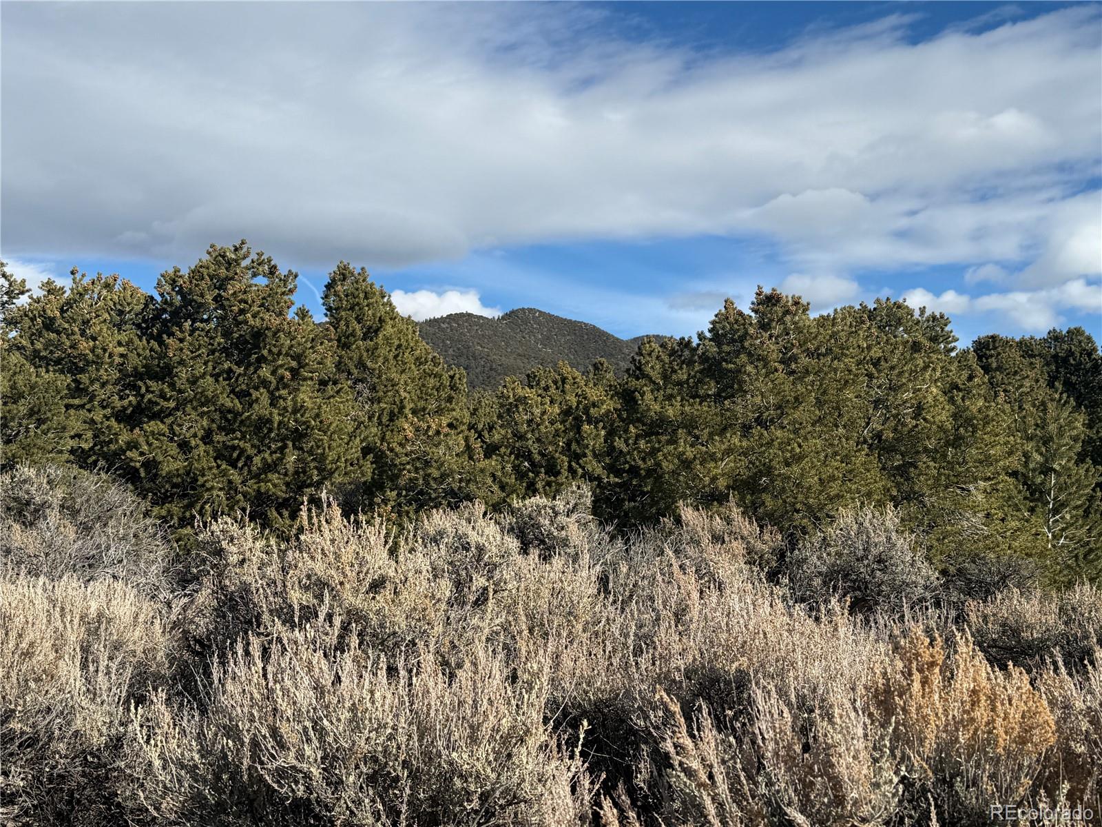 0 Michaels Road San Luis, CO 81152 - Photo 4 of 9 Gallery Image 4