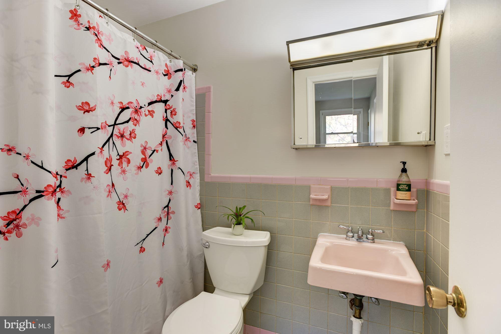 2940 Gracefield Road Silver Spring, MD 20904 - Photo 14 of 33 Primary Bath