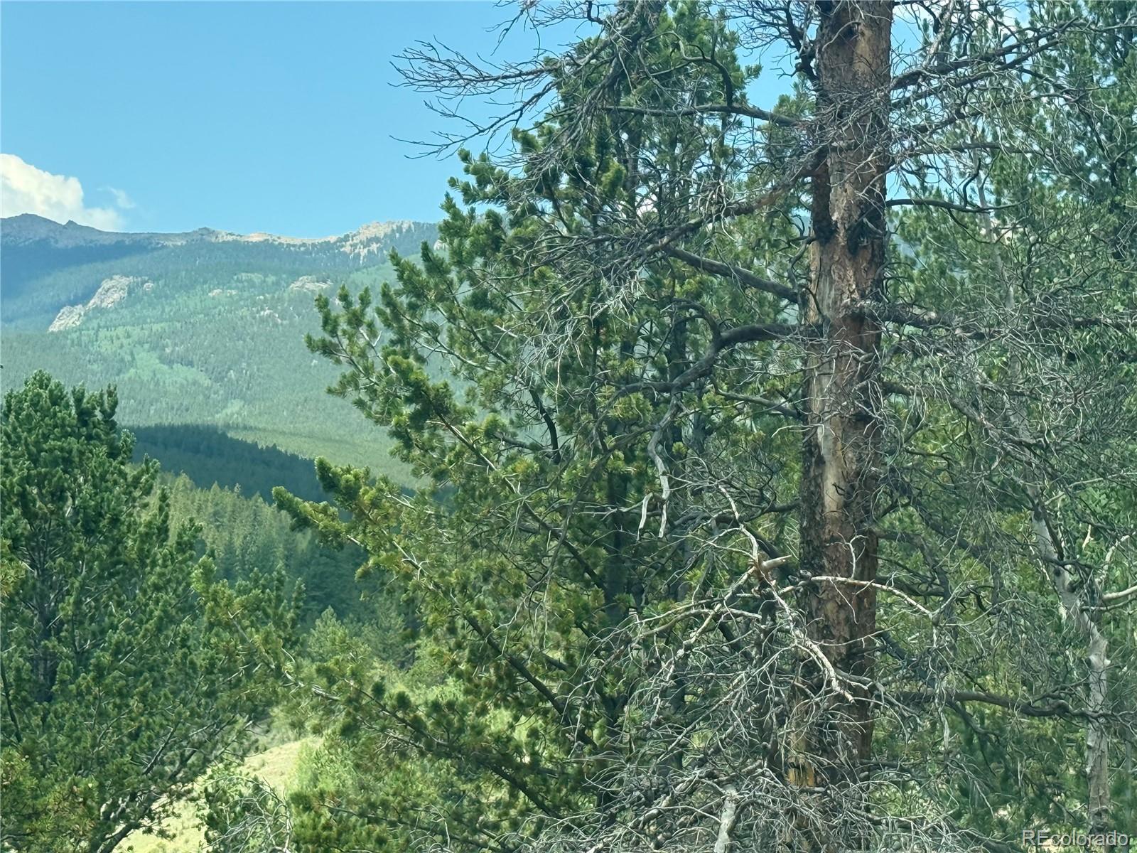63 Fitzsimmons Road Bailey, CO 80421 - Photo 6 of 27 Gallery Image 6