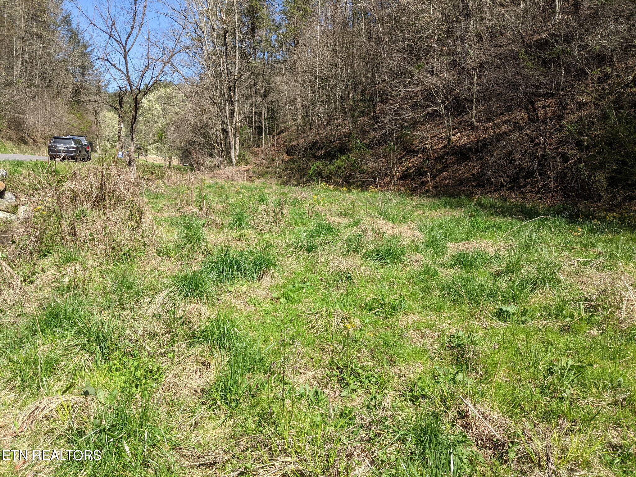 760 Black Branch Road Del Rio, TN 37727 - Photo 3 of 16 760 Black Branch Rd, Del
