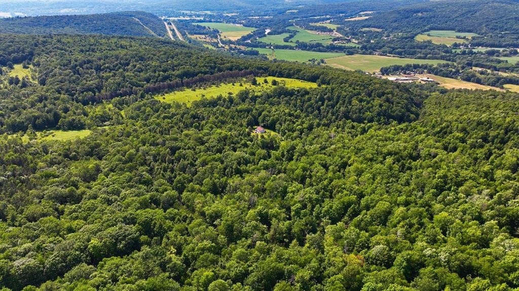 614 Neff Hill Road Bainbridge, NY 13733 - Photo 8 of 13