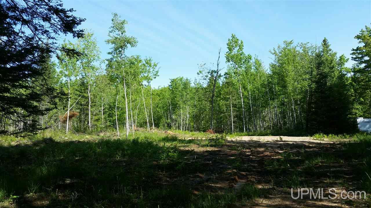 Tbd Off Kime-backlund Road Foster City, MI 49807 - Photo 11 of 12