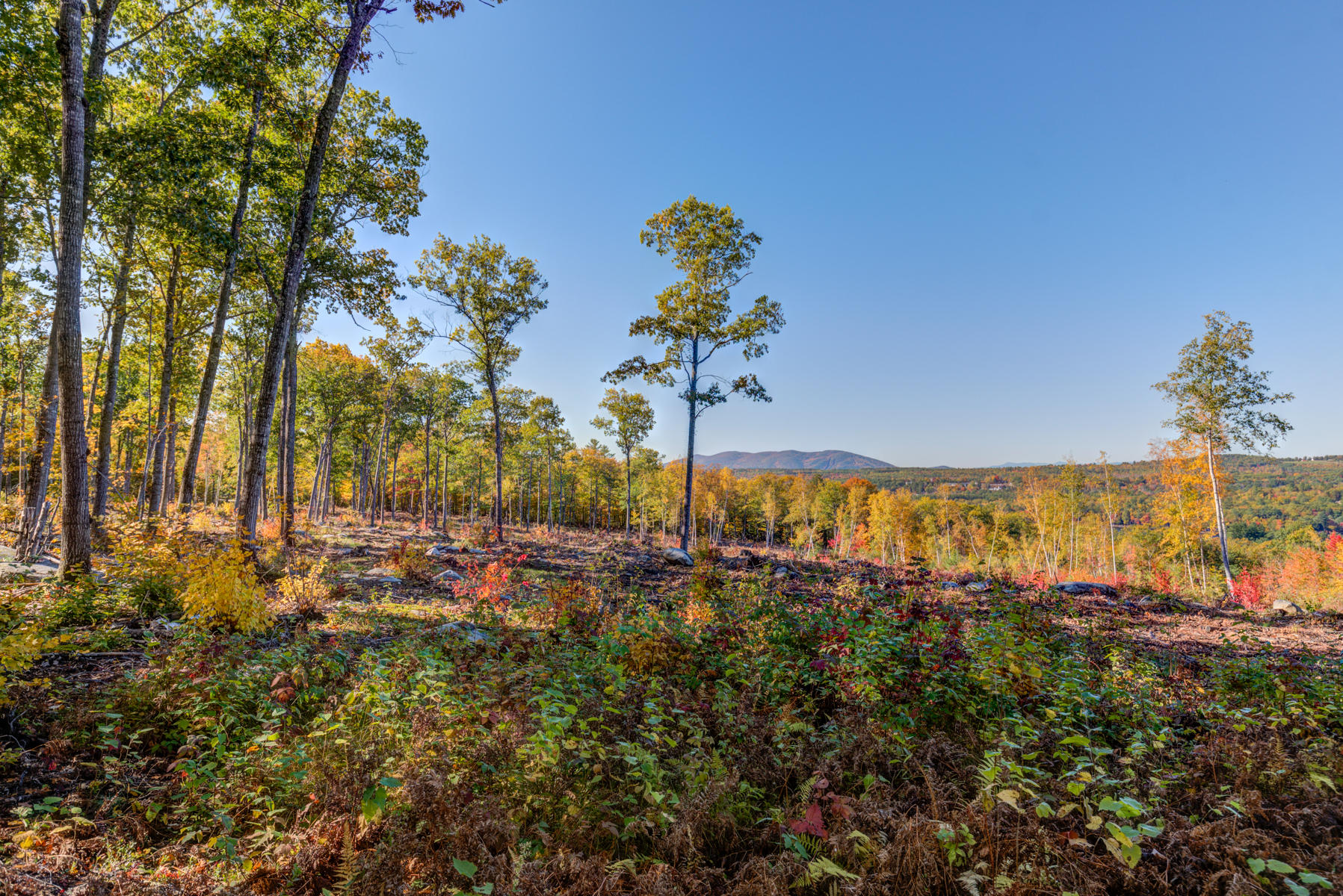 Lot 4 Birch Circle Harrison, ME 04040 - Photo 10 of 24 Pic#-12