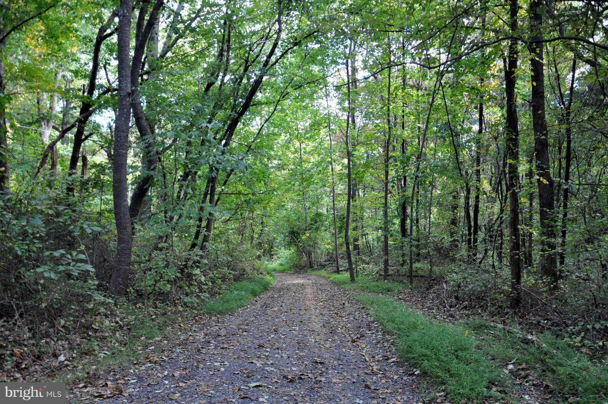 196 Moon Road Sperryville, VA 22740 - Photo 13 of 17 Driveway