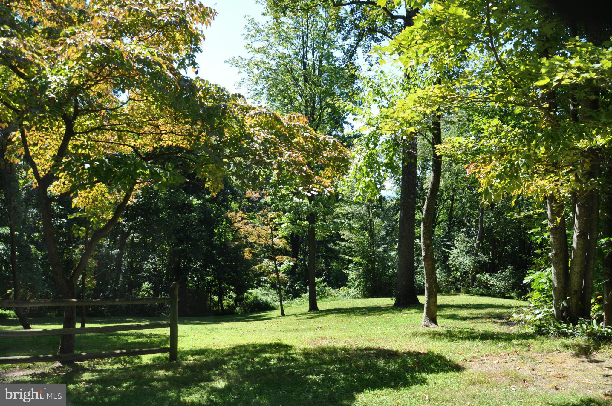 196 Moon Road Sperryville, VA 22740 - Photo 14 of 17 Front Yard