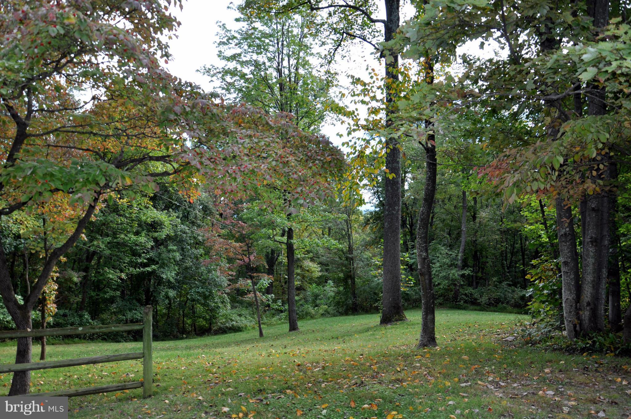 196 Moon Road Sperryville, VA 22740 - Photo 15 of 17 Side Yard