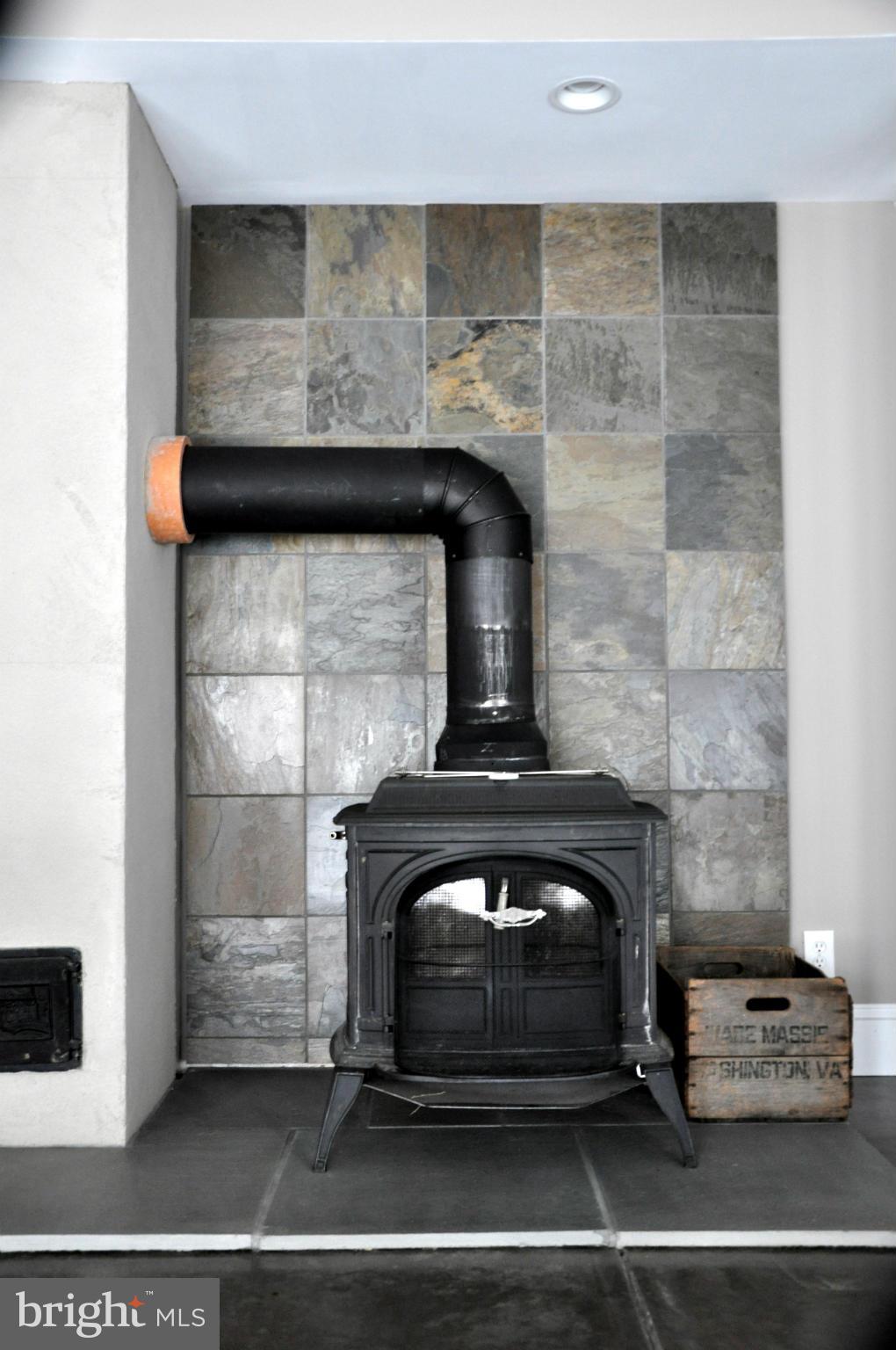 196 Moon Road Sperryville, VA 22740 - Photo 7 of 17 Wood Stove