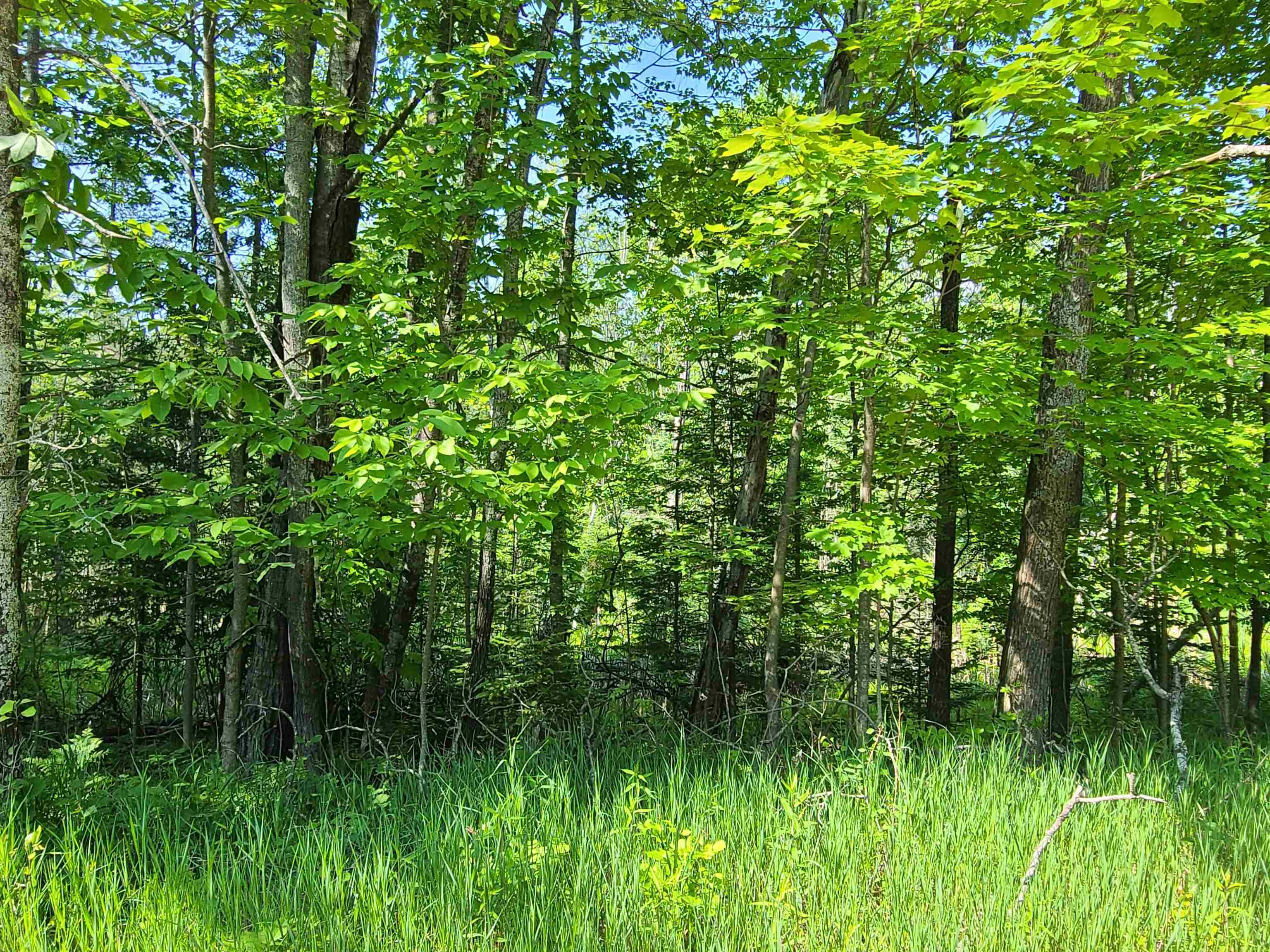 1281 West Trask Lake Road Barton City, MI 48705 - Photo 5 of 8