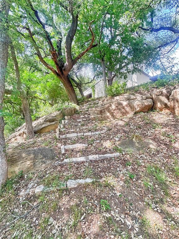 101 Riverview Road Millsap, TX 76066 - Photo 7 of 26 a view of yard